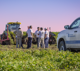 Ingeniero Agrónomo